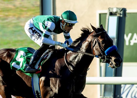 Irish-bred Hey Nay Nay and jockey Hector I. Berrios win the Grade III $100,000 Del Mar Juvenile Turf Sunday September 7, 2025 at Del Mar Thoroughbred Club, Del Mar, CA. <br>
Benoit Photo Irish-bred Hey Nay Nay and jockey Hector I. Berrios win the Grade III $100,000 Del Mar Juvenile Turf Sunday September 7, 2025 at Del Mar Thoroughbred Club, Del Mar, CA. <br>
Benoit Photo