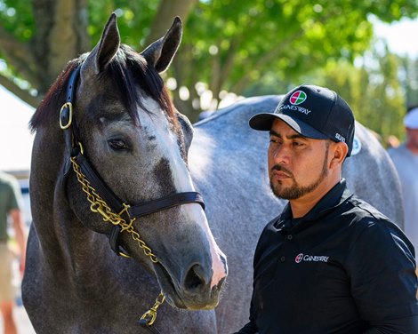 Hip 413 colt by Tapit out of Manki at Gainesway, agent, 2025 Keeneland September Yearling Sale