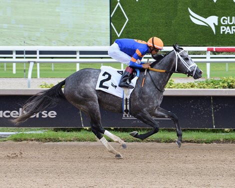 Haulin Ice wins the 2025 Princess Rooney Stakes at Gulfstream Park