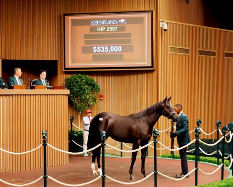 The Girvin filly, consigned as Hip 2567 in the ring
