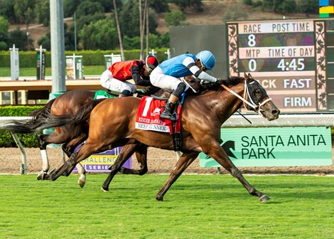 Reef Runner and jockey Armando Ayuso win the Grade II, $200,000  Eddie D Stakes Saturday, September 27, 2025 at Santa Anita Park, Arcadia, CA.  <br>
Benoit Photo