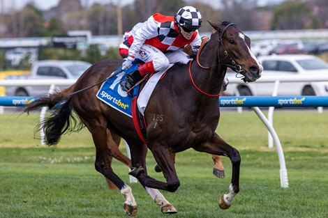 Sepals wins the 2025 Sir Rupert Clarke Stakes at Caulfield Racecourse ridden by Craig Williams and trained by Cliff Brown