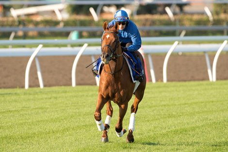 Notable Speech gallops at Woodbine Racetrack on September 11, 2025