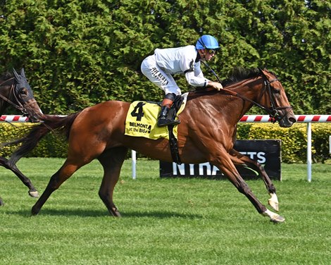 Whiskey Decision wins the 2025 Athenia Stakes Belmont at the Big A
