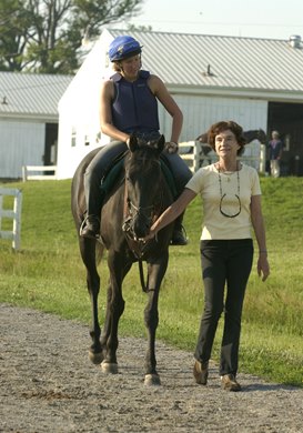 Diane Perkins leads one of her fillies to the track on June 11, 2002, at the Kentucky Horse Center in Lexington, Ky. Diana Perkins  Origs image 12 Photo by Anne M. Eberhardt