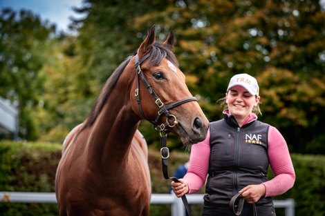 2025 Goffs Orby Book 1, Lot 298<br>
Night of Thunder x No Speak Alexander