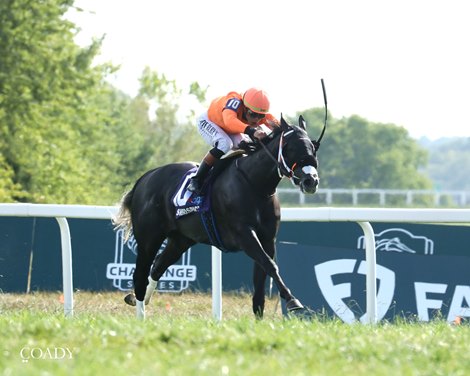 Shisospicy wins the 2025 Music City Stakes at Kentucky Downs