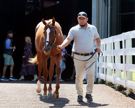 Hip 196, 2025 Keeneland September Yearling Sale