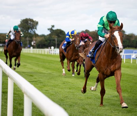 Benvenuto Cellini and Christophe Soumillon winners of the Gr.2 KPMG Champions Juvenile Stakes.<br>
Irish Champions Weekend.<br>
Leopardstown.<br>
Photo: Patrick McCann/Racing Post<br>
13.09.2028
