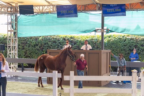 Hip 61, 2025 Fasig-Tipton California Fall Yearlings Sale