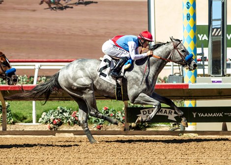 Zedan Racing Stables’ Brant and jockey Flavien Prat win the Grade I, $300,000 Del Mar Futurity, Sunday  September 7, 2025 at Del Mar Thoroughbred Club, Del Mar, CA.  The two-year-old son of Gun Runner gave trainer Bob Baffert his 19th win in the race. Benoit Photo