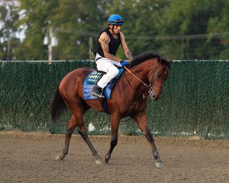 Bob Baffert trainee Barnes observes the track with exercise rider Emmanuel Rivera at Parx Racing in Bensalem, PA on Friday morning September 19, 2025.  Photo By Taylor Ejdys/EQUI-PHOTO.
