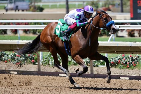 Revera finishing second in an Aug. 17 maiden at Del Mar.