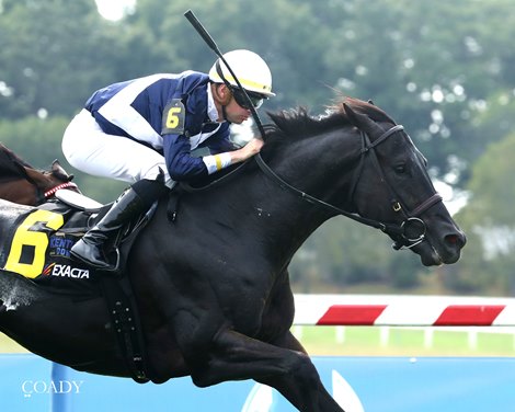 PLENSA wins the 2025 Gun Runner Stakes at Kentucky Downs