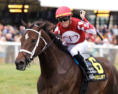 STELLIFY wins the 2025 Ladies Marathon Invitational Stakes at Kentucky Downs