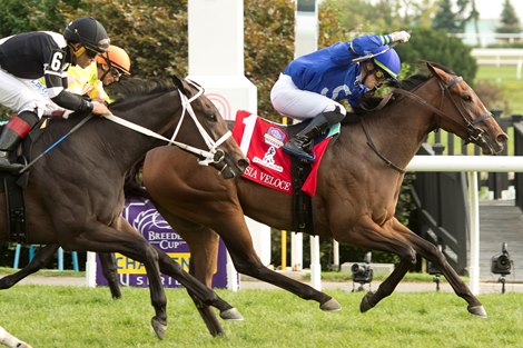 Jockey Fraser Aebly guides Corsia Veloce to victory in the Johnnie Walker Natalma Stakes (Grade I) $500,000 Breeders's Cup Challenge Series Win and You're In Juvenile Fillies Turf. Corsia Velocie is owned by R.Glenn Sikura and Mario Serrani and trained by Josie Carroll. Woodbine/Michael Burns Photo