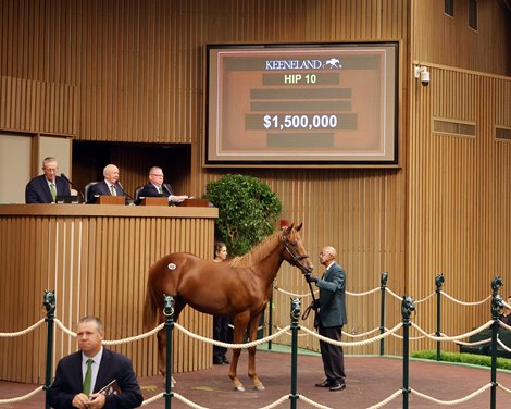 Hip 10, 2025 Keeneland September Yearling Sale