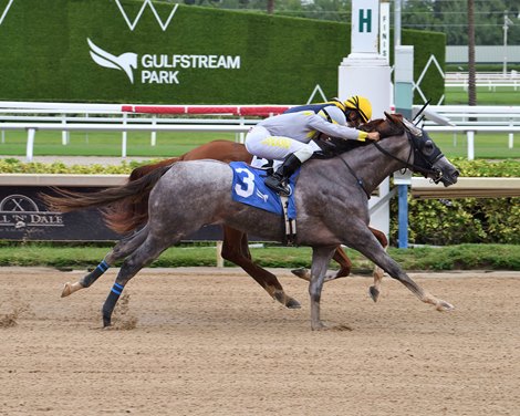 Lennilu (outside) wins the 2025 FTBOA Florida Sire Desert Vixen Stakes at Gulfstream Park