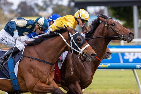 Sir Delius wins the 2025 Underwood Stakes at Caulfield Racecourse<br>
ridden by Craig Williams and trained by Gai Waterhouse and Adrian Bott