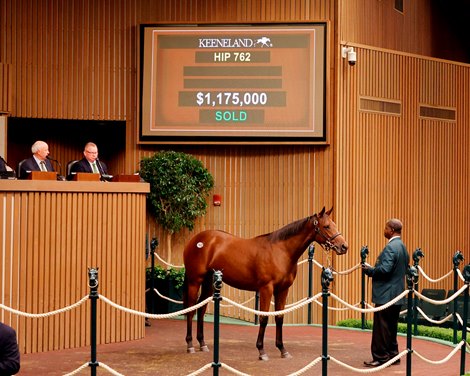 Hip 762, 2025 Keeneland September Yearling Sale
