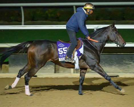 Tamara<br>
Morning training at Del Mar with Breeders’ Cup contenders at Del Mar Thoroughbred Club in Del Mar, CA,  on Oct. 27, 2025.