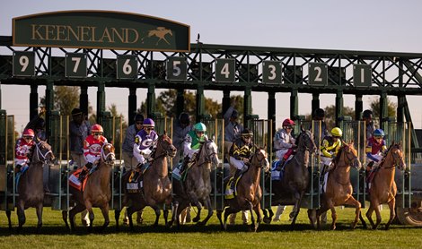(1) Lush Lips (blue cap) at the start of the Queen Elizabeth II Challenge Cup S. Presented by Dixiana (G1).