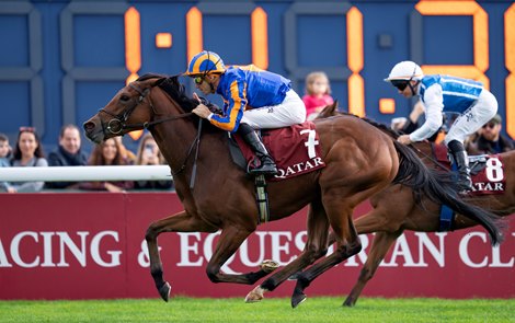 Diamond Necklace wins the 2025 Prix Marcel Boussac