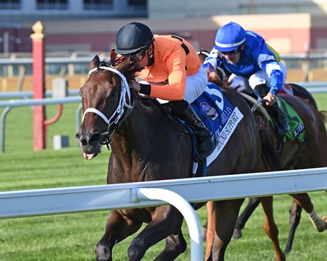 Ground Support wins the 2025 Miss Grillo Stakes at Aqueduct Racetrack