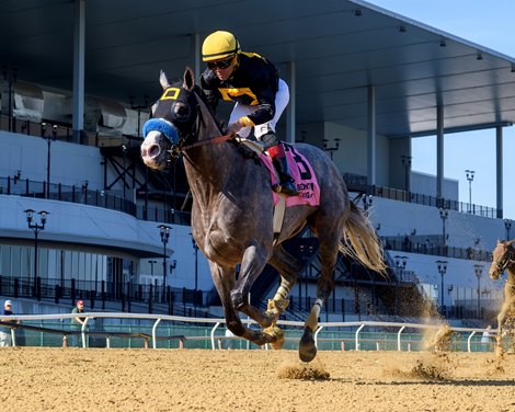Napoleon Solo wins the 2025 Champagne Stakes at Aqueduct Racetrack