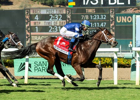 Stark Contrast and jockey Kazushi Kimura, right, outleg Proletariat (Kyle Frey), left, to win the Grade III, $100,000 Zuma Beach Stakes, Sunday, October 5, 2025 at Santa Anita Park, Arcadia CA.<br>
© BENOIT PHOTO
