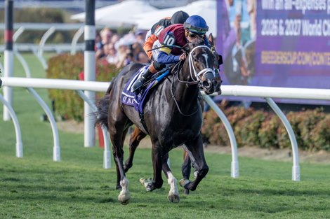 Cy Fair with Irad Ortiz, Jr wins the Juvenile Turf Sprint (G1T) at Del Mar Racetrack in Del Mar, CA on October 31, 2025.