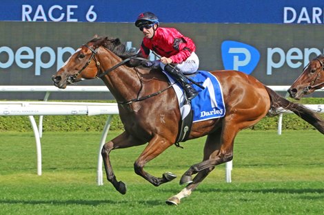 Apocalyptic wins the 2025 Flight Stakes at Randwick Racecourse ridden by Tommy Berry and trained by Michael Freedman