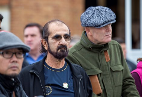 Sheikh Mohammed<br>
Tattersalls Yearling Sale<br>
Book 1<br>
07OCT25