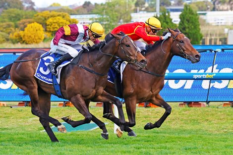 Transatlantic wins the 2025 Toorak Handicap at Caulfield Racecourse ridden by Mark Zahra and trained by Tony Gollen