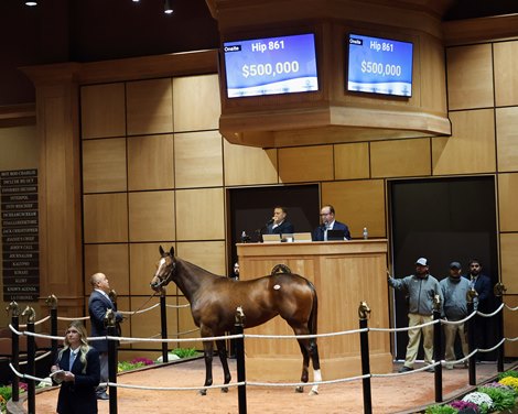 The Nyquist filly, consigned as Hip 861 in the ring