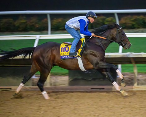 Sovereignty with Neil Poznanskyt in his final work<br>
Morning training at Del Mar with Breeders’ Cup contenders at Del Mar Thoroughbred Club in Del Mar, CA,  on Oct. 27, 2025.