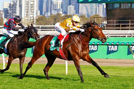Sir Delius wins the 2025 Turnbull Stakes at Flemington Racecourse ridden by Craig Williams and Trained by Gai Waterhouse and Adrian Bott