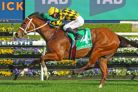 Autumn Glow wins the 2025 Epsom Handicap at Randwick Racecourse ridden by Kerrin McEvoy and trained by Chris Waller
