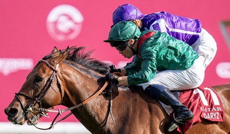 Daryz wins the 2025 Arc de Triomphe