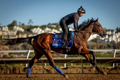 Litmus Test gallops in preparation for the Breeders’ Cup Juvenile at Del Mar Racetrack in Del Mar, CA on October 29, 2025. Photo By: Alex Evers