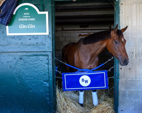 Gin Gin<br>
Photos of Three Things video subjects at Keeneland in Lexington, Ky., on Oct. 15, 2025.