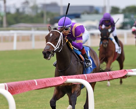 Spirit Doll wins the 2025 Our Dear Peggy Stakes at Gulfstream Park
