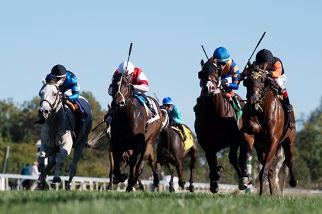 Schwarzenegger and John Velqzquez win Indian Summer Stakes, Keeneland Racetrack, Lexington, KY, 10-5-25, Mathea Kelley-Bloodhorse