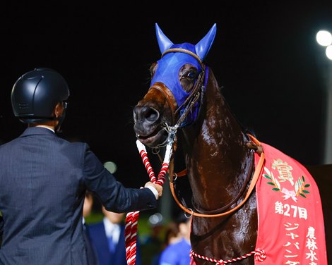 Narukami wins the 2025 Japan Dirt Classic at Oi Racecourse