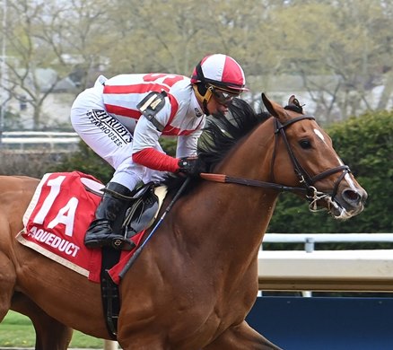 Contrary Thinking - MSW - AQU - 042024