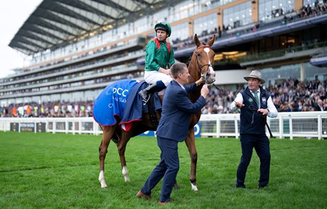 Calandagan (M. Barzalona) after  the Champion Stakes<br>
Ascot 18.10.25 Pic: Edward Whitaker