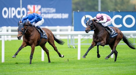 Trawlerman (William Buick) beats Sweet William in the Long Distance Cup<br>
Ascot 18.10.25 Pic: Edward Whitaker