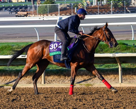 Goliath who has the stringhalt condition Morning training at Del Mar with Breeders’ Cup contenders at Del Mar Thoroughbred Club in Del Mar, CA,  on Oct. 28, 2025.
