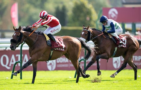 Caballo De Mar (Tom Marquand) wins the Prix Du Cadran for trainer George Scott<br>
Longchamp 4.10.25 Pic: Edward Whitaker