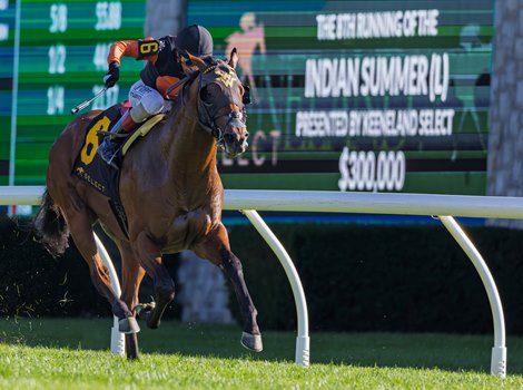 Schwarzenegger drives down the Keeneland turf stretch to win the Indian Summer S. on 10/6/2025.